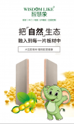 <strong>度荣获“环保板材十大品牌”荣誉</strong>